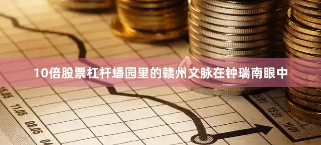 10倍股票杠杆蟠园里的赣州文脉在钟瑞南眼中