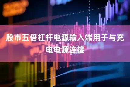 股市五倍杠杆电源输入端用于与充电电源连接